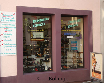 schumacher bollinger-3
