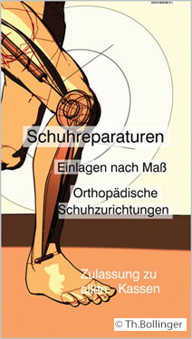 schumacher bollinger logo